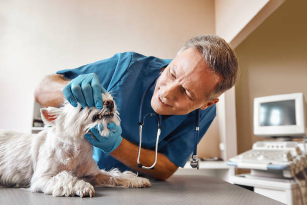 Best Emergency Dental Extractions in Yorktown, TX